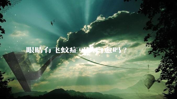 眼睛有飞蚊症可以自愈吗?